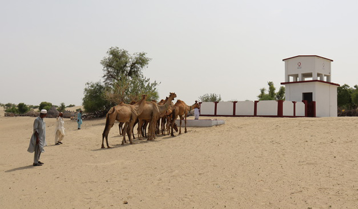 Qatar Charity